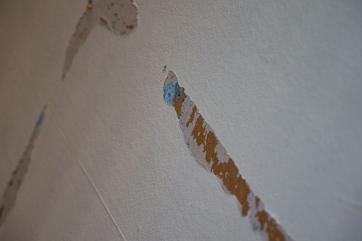 Water Extraction service in Laguna Niguel, CA